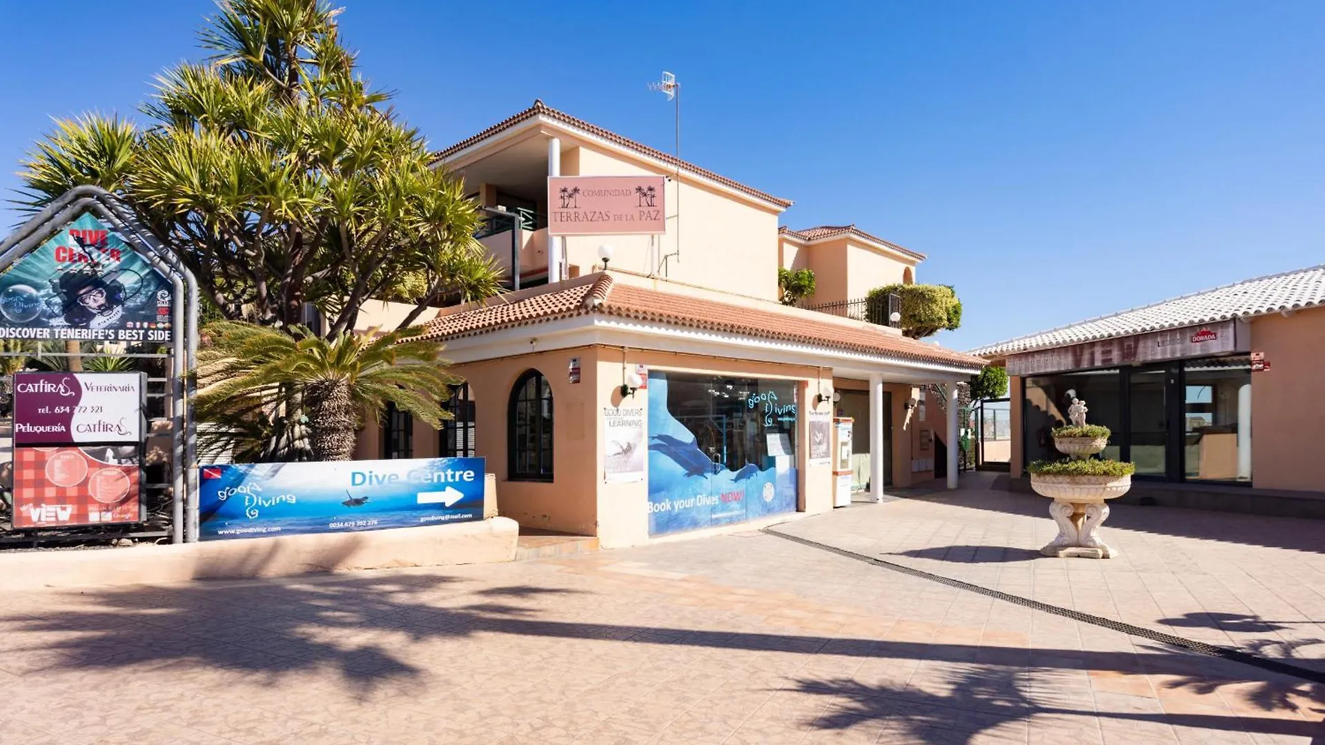 Nice Apt With Terrace In Golf Del Sur 圣米格尔德阿沃纳 0*,  西班牙